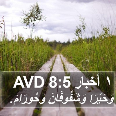 ١ أخبار 8:5 AVD Bible Verse Image