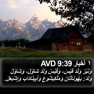 ١ أخبار 9:39 AVD Bible Verse Image