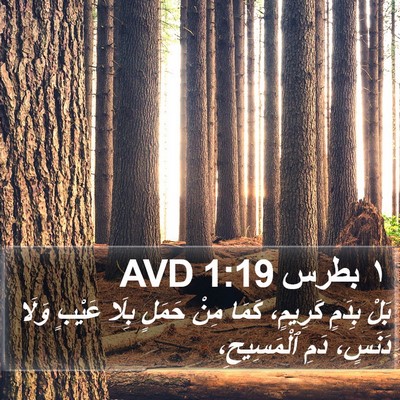 ١ بطرس 1:19 AVD Bible Verse Image