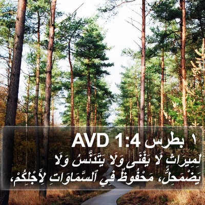 ١ بطرس 1:4 AVD Bible Verse Image