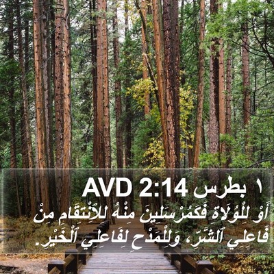 ١ بطرس 2:14 AVD Bible Verse Image