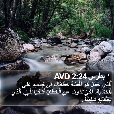 ١ بطرس 2:24 AVD Bible Verse Image