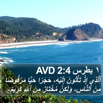 ١ بطرس 2:4 AVD Bible Verse Image