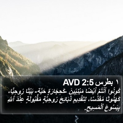 ١ بطرس 2:5 AVD Bible Verse Image