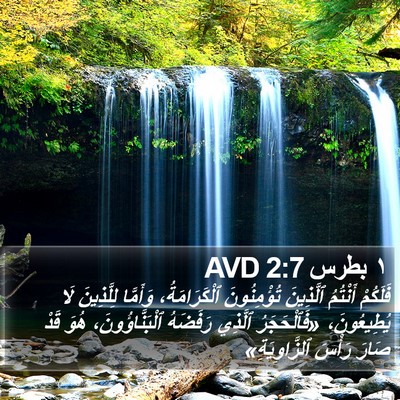 ١ بطرس 2:7 AVD Bible Verse Image