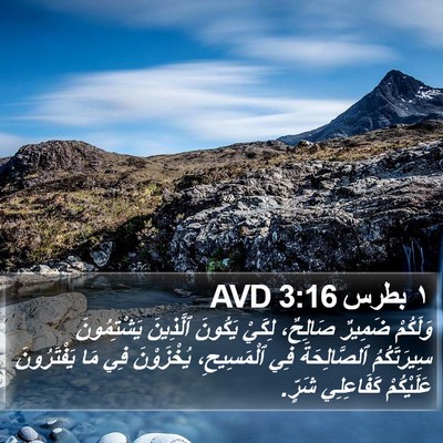 ١ بطرس 3:16 AVD Bible Verse Image