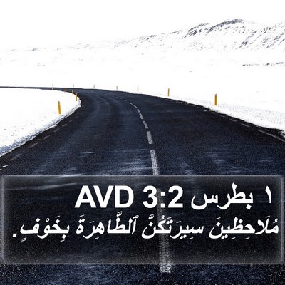 ١ بطرس 3:2 AVD Bible Verse Image