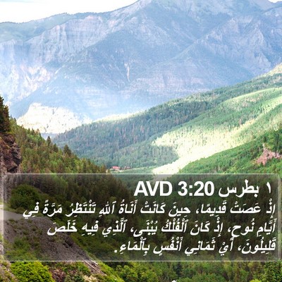 ١ بطرس 3:20 AVD Bible Verse Image