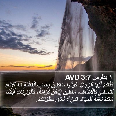 ١ بطرس 3:7 AVD Bible Verse Image