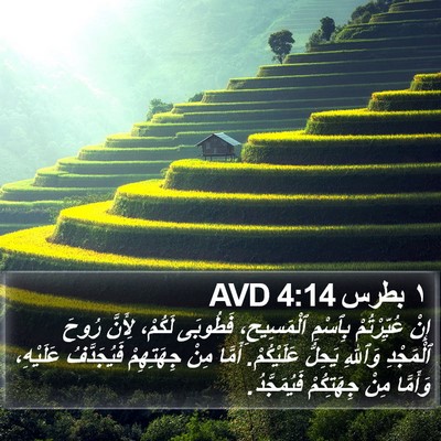 ١ بطرس 4:14 AVD Bible Verse Image
