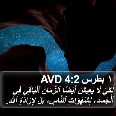 ١ بطرس 4:2 AVD Bible Verse Image