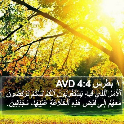 ١ بطرس 4:4 AVD Bible Verse Image