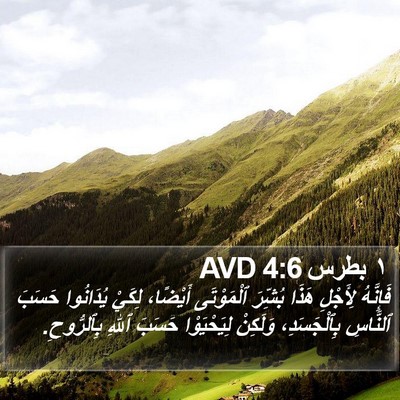 ١ بطرس 4:6 AVD Bible Verse Image