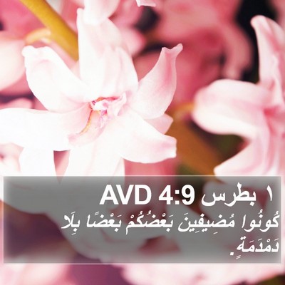 ١ بطرس 4:9 AVD Bible Verse Image