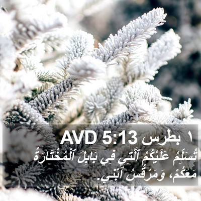 ١ بطرس 5:13 AVD Bible Verse Image