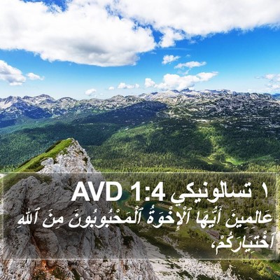 ١ تسالونيكي 1:4 AVD Bible Verse Image
