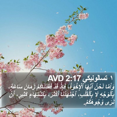 ١ تسالونيكي 2:17 AVD Bible Verse Image