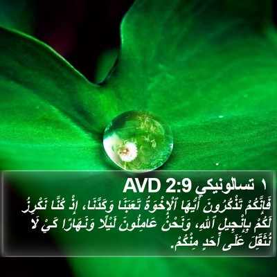 ١ تسالونيكي 2:9 AVD Bible Verse Image