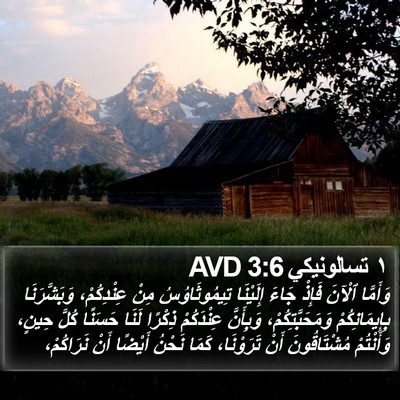 ١ تسالونيكي 3:6 AVD Bible Verse Image