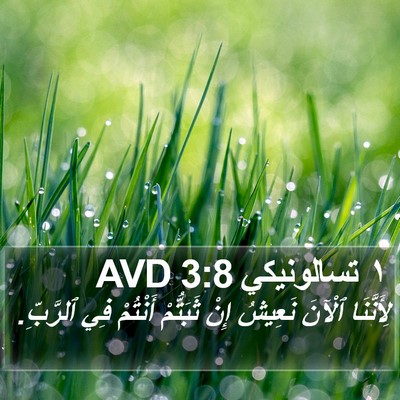 ١ تسالونيكي 3:8 AVD Bible Verse Image