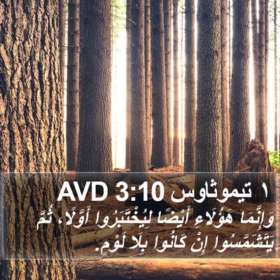 ١ تيموثاوس 3:10 AVD Bible Verse Image