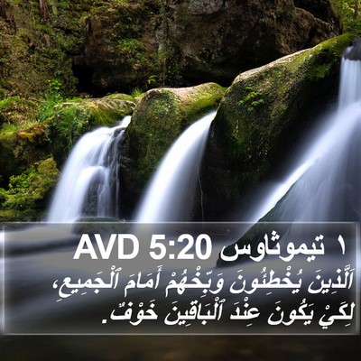 ١ تيموثاوس 5:20 AVD Bible Verse Image