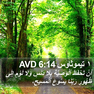 ١ تيموثاوس 6:14 AVD Bible Verse Image