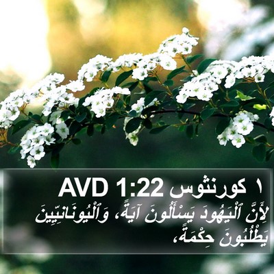 ١ كورنثوس 1:22 AVD Bible Verse Image