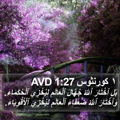 ١ كورنثوس 1:27 AVD Bible Verse Image