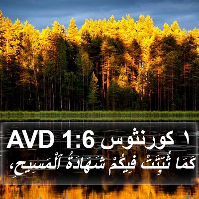 ١ كورنثوس 1:6 AVD Bible Verse Image
