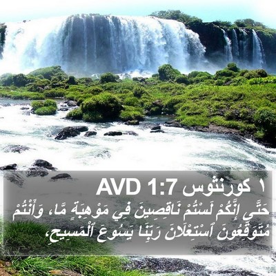 ١ كورنثوس 1:7 AVD Bible Verse Image