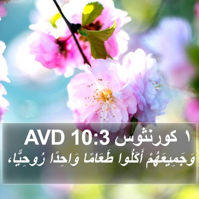 ١ كورنثوس 10:3 AVD Bible Verse Image