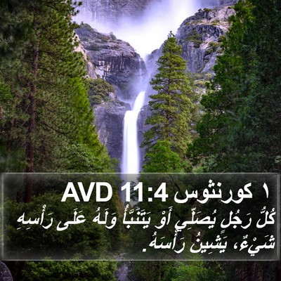 ١ كورنثوس 11:4 AVD Bible Verse Image