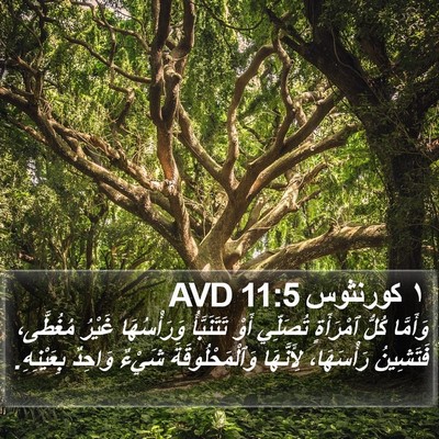 ١ كورنثوس 11:5 AVD Bible Verse Image