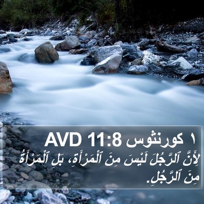 ١ كورنثوس 11:8 AVD Bible Verse Image