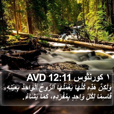 ١ كورنثوس 12:11 AVD Bible Verse Image