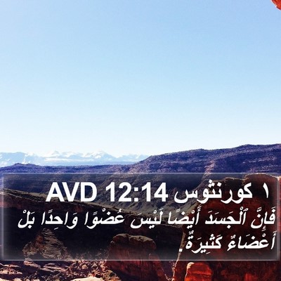 ١ كورنثوس 12:14 AVD Bible Verse Image