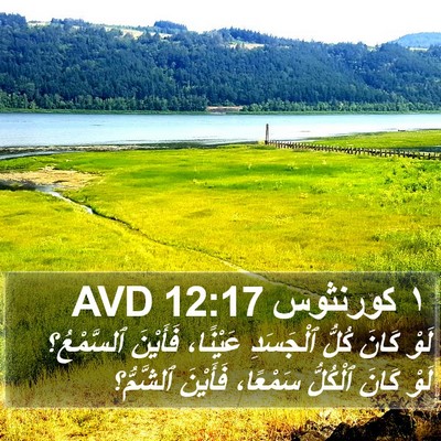 ١ كورنثوس 12:17 AVD Bible Verse Image