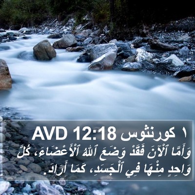 ١ كورنثوس 12:18 AVD Bible Verse Image