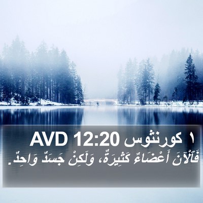 ١ كورنثوس 12:20 AVD Bible Verse Image