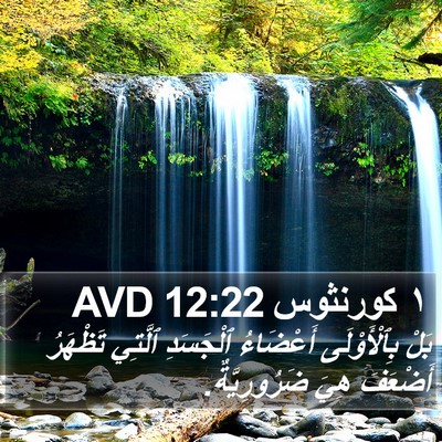 ١ كورنثوس 12:22 AVD Bible Verse Image
