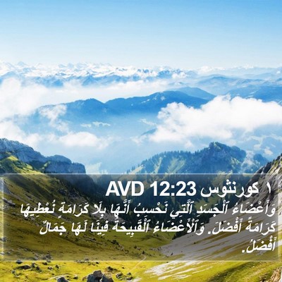 ١ كورنثوس 12:23 AVD Bible Verse Image