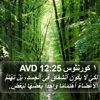١ كورنثوس 12:25 AVD Bible Verse Image