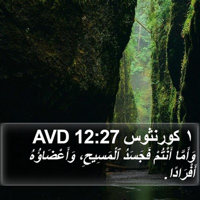 ١ كورنثوس 12:27 AVD Bible Verse Image