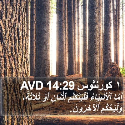 ١ كورنثوس 14:29 AVD Bible Verse Image