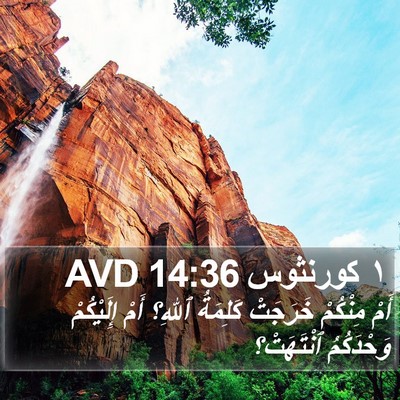 ١ كورنثوس 14:36 AVD Bible Verse Image