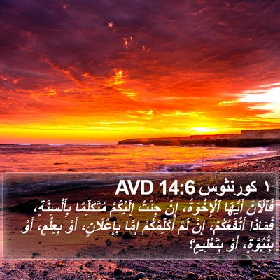 ١ كورنثوس 14:6 AVD Bible Verse Image