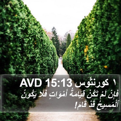 ١ كورنثوس 15:13 AVD Bible Verse Image