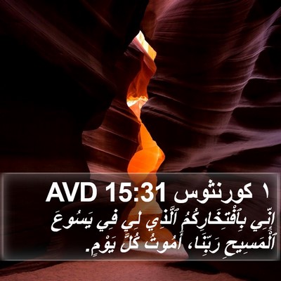 ١ كورنثوس 15:31 AVD Bible Verse Image