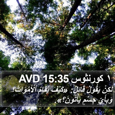 ١ كورنثوس 15:35 AVD Bible Verse Image